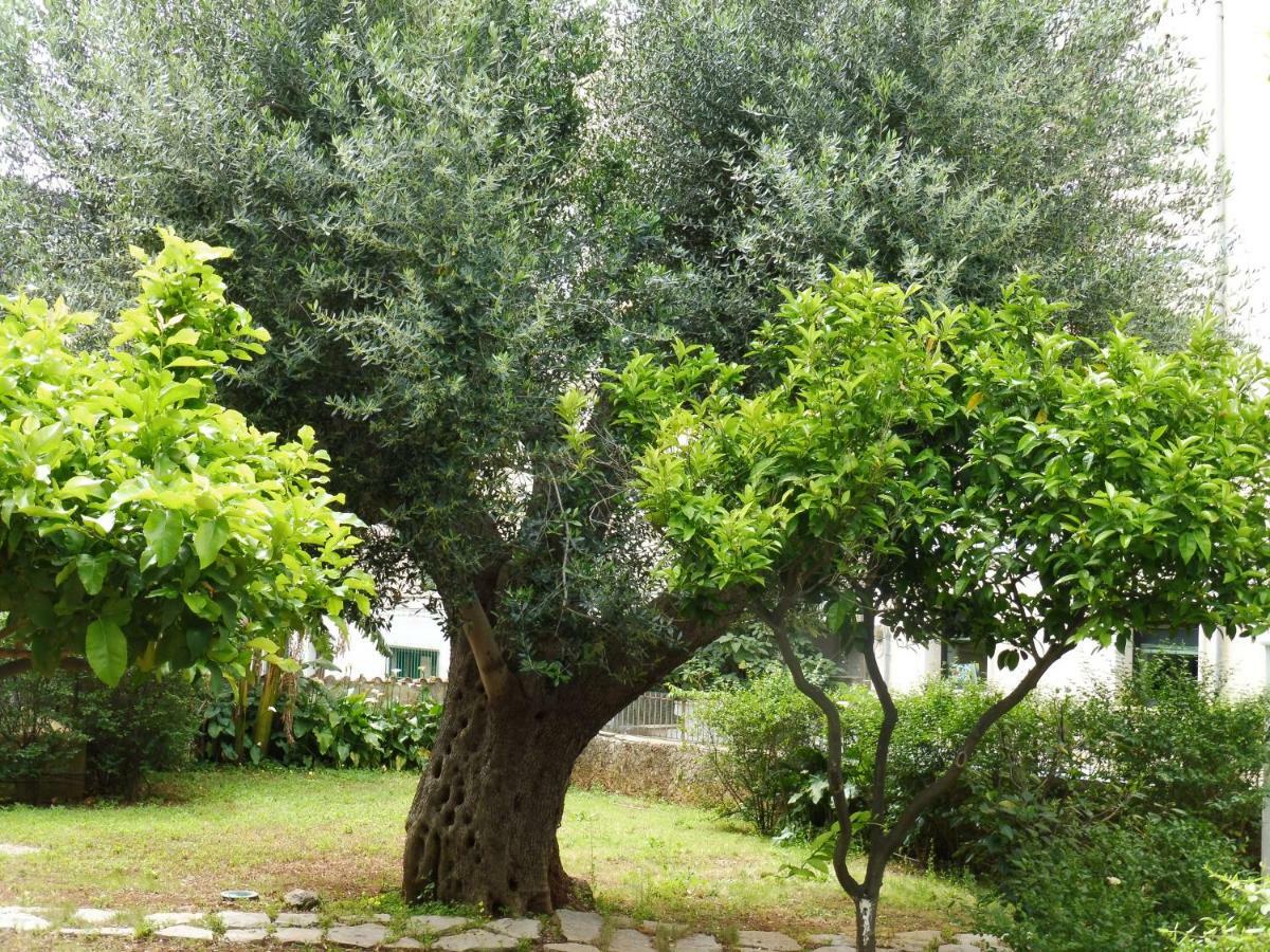 Santa Maria Aparthotel Marina di Camerota